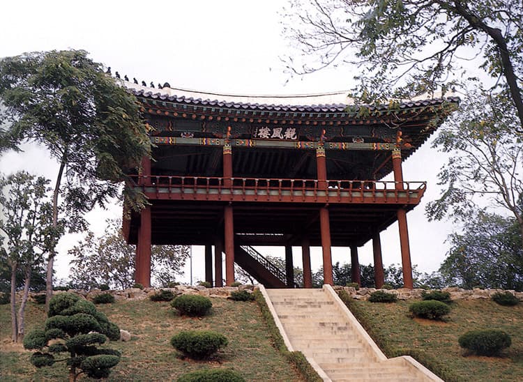 대구 달성 사진