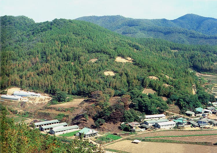 Goryeo White Porcelain Kiln Site in Seo-ri, Yongin photo