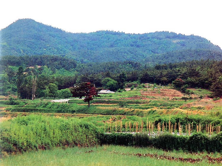 Seokseongsanseong Fortress, Buyeo photo
