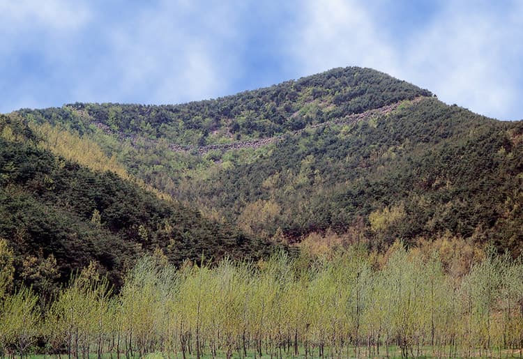 부여 증산성 사진