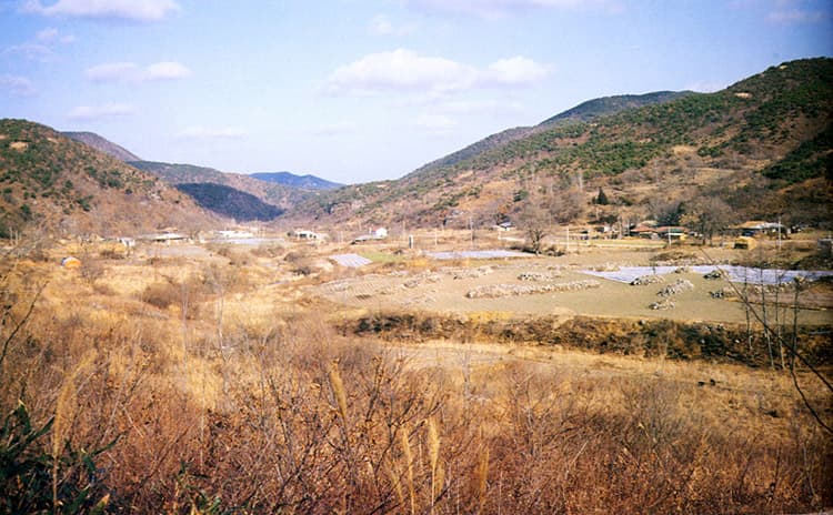 서산 보원사지 사진