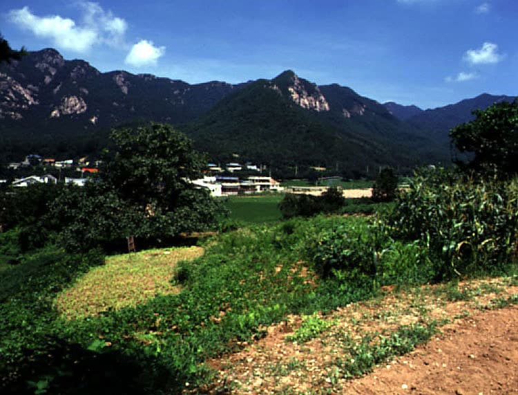 Kiln Site in Hakbong-ri, Gongju photo