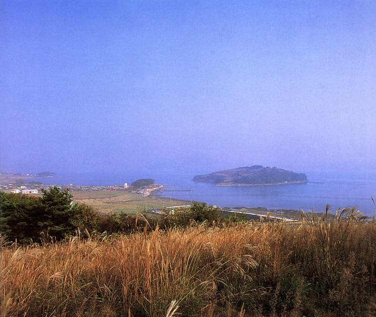 Historic Site of Cheonghaejin Fort, Wando photo