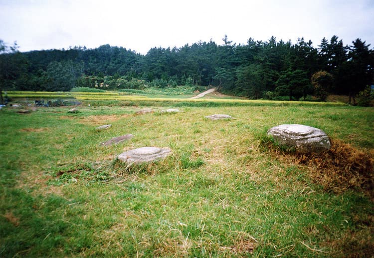 경주 사천왕사지 사진
