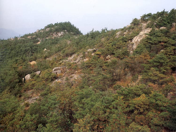 경주 남산신성 사진