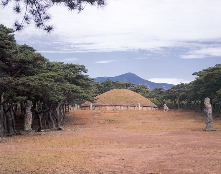 경주 흥덕왕릉 사진