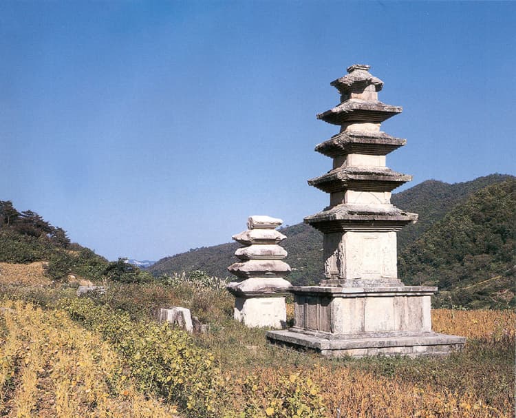 경주 장항리 사지 사진