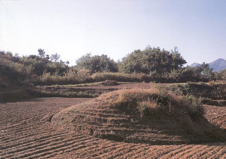성주 성산동 고분군 사진