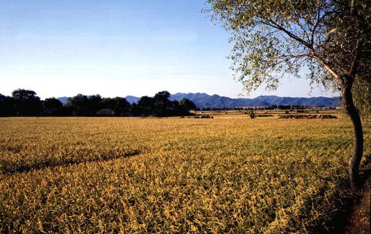 경주 동부 사적지대 사진