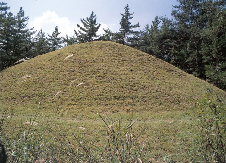 경주 진흥왕릉 사진