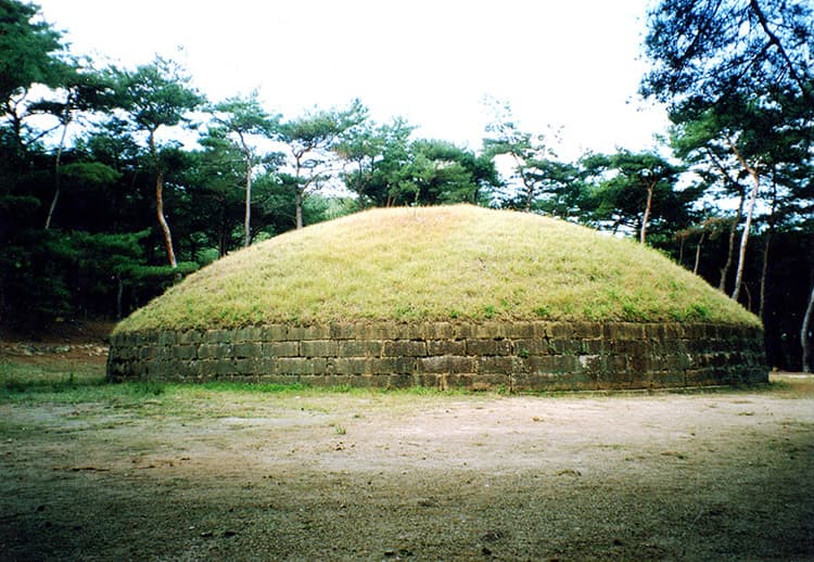 경주 헌강왕릉 사진
