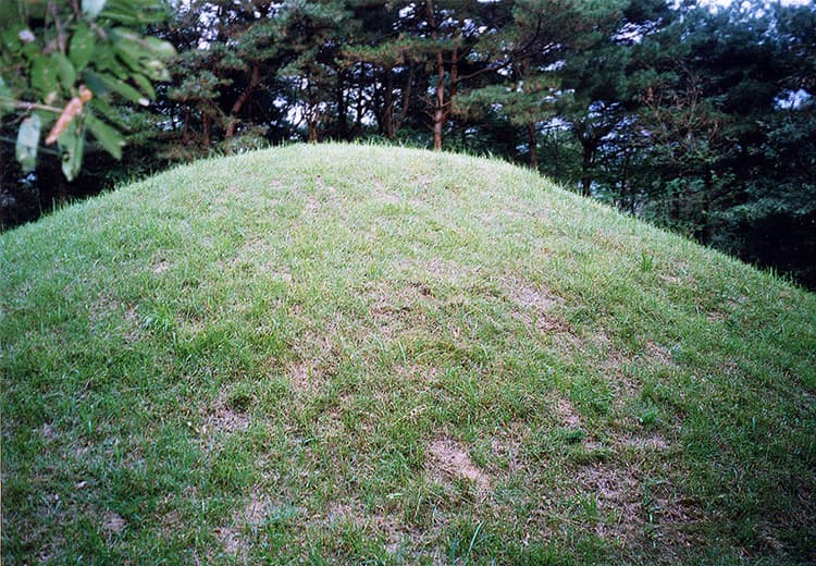 Tomb of King Huigang, Gyeongju photo