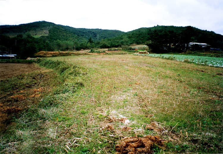 Ash-glazed Pottery Kiln Site in Hwasan-ri, Gyeongju photo