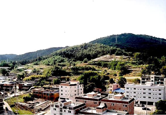 구미 황상동 고분군 사진