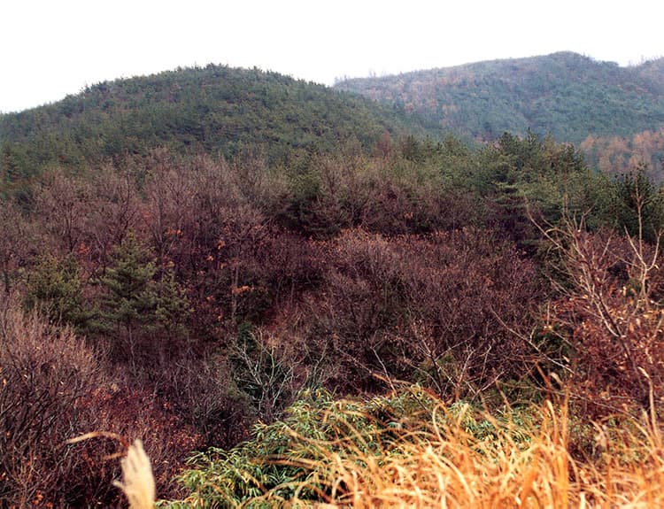 양산 중부동 고분군 사진