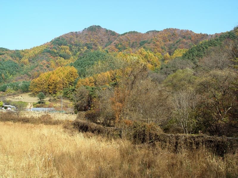 Village Guardian Forest of Seongnam-ri, Wonju photo