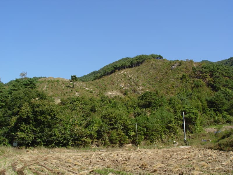 Natural Habitat of Gaeneusam, Yanggu photo