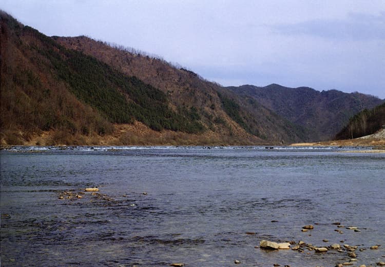 Korea Spotted Barbel of Geumgang River photo