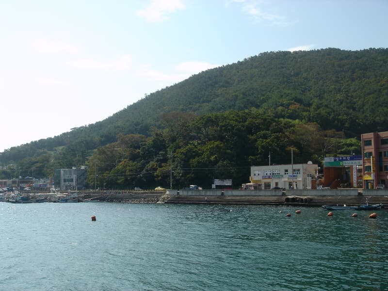 Evergreen Forest of Mijo-ri, Namhae photo