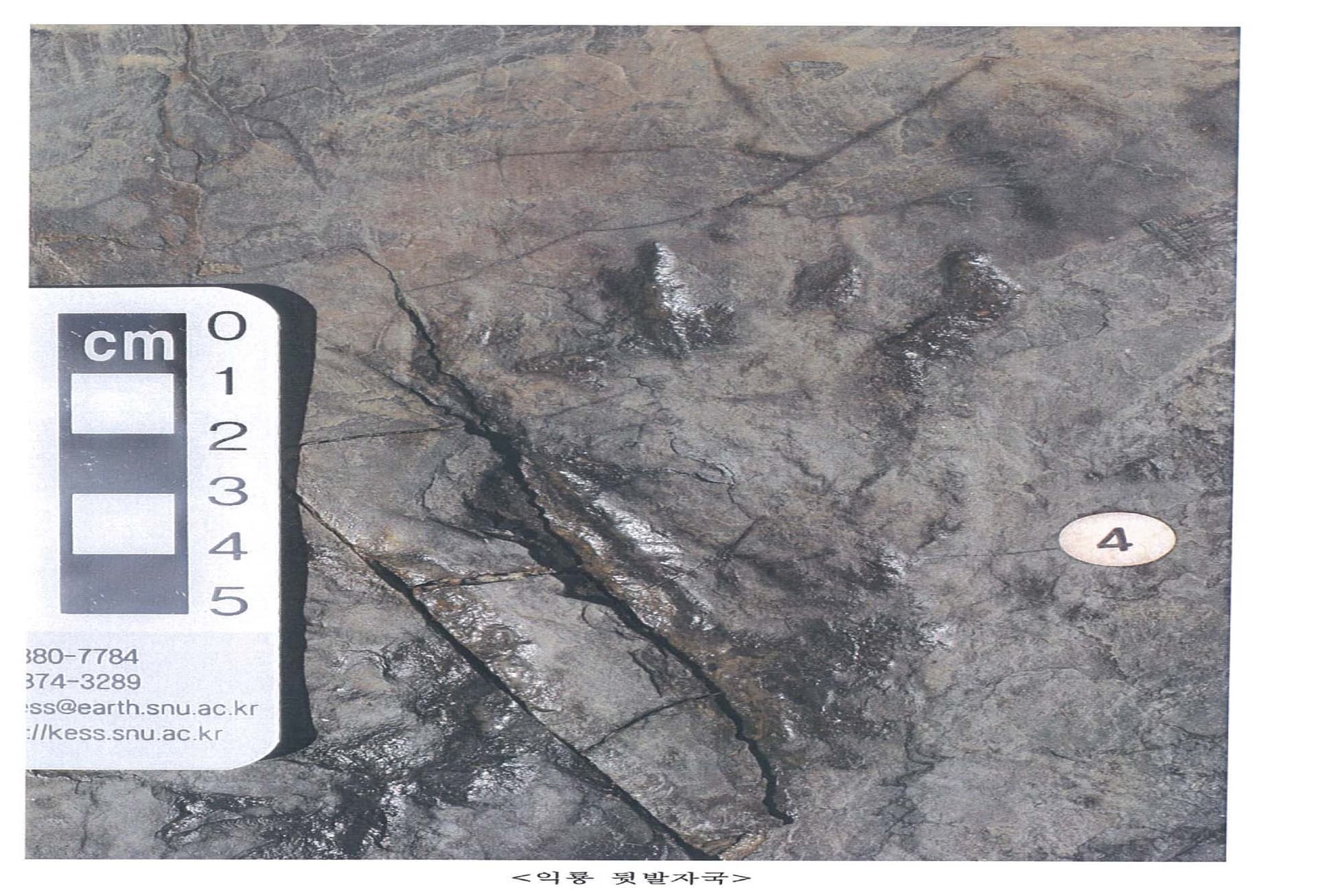 Tracksite of Pterosaurs, Birds, and Dinosaurs in Chungmugong-dong, Jinju photo