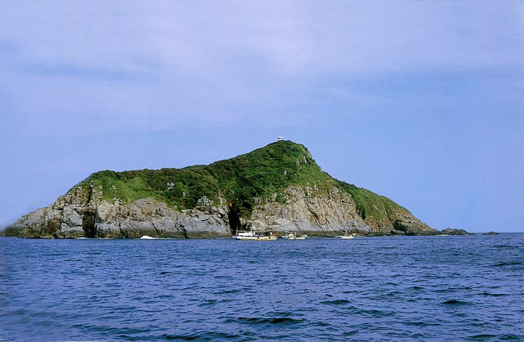 제주 사수도 바닷새류(흑비둘기, 슴새) 번식지 사진