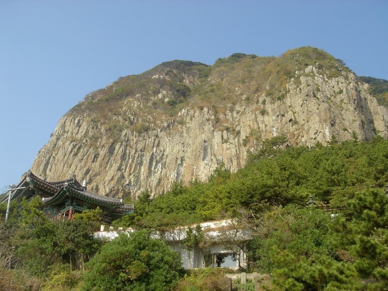 제주 산방산 암벽식물지대 사진