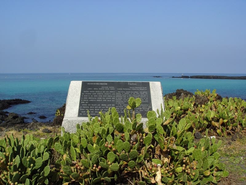 Population of Cacti in Wollyeong-ri, Jeju photo
