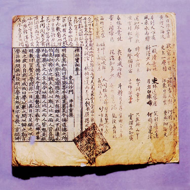 선림보훈(1981) 사진