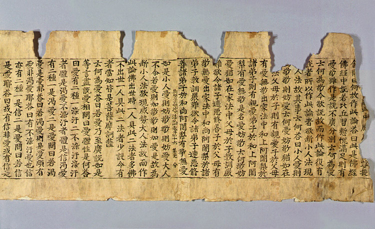 초조본 아비담비바사론 권16 사진