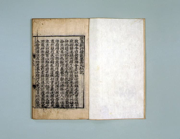 법집별행록절요병입사기(1995) 사진