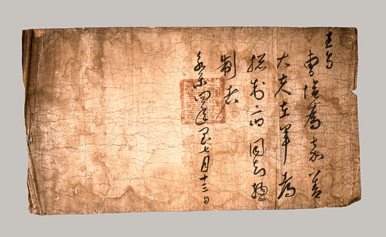 조흡 고신왕지(1995) 사진