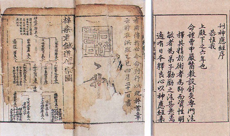 신응경 사진