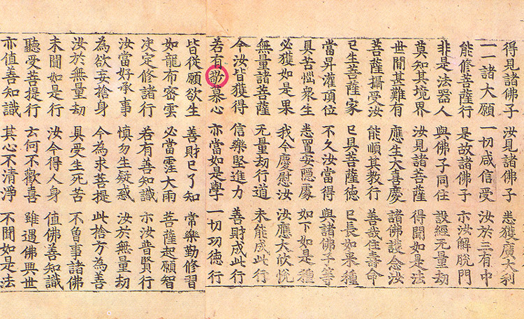 초조본 대방광불화엄경 주본 권67, 77 사진