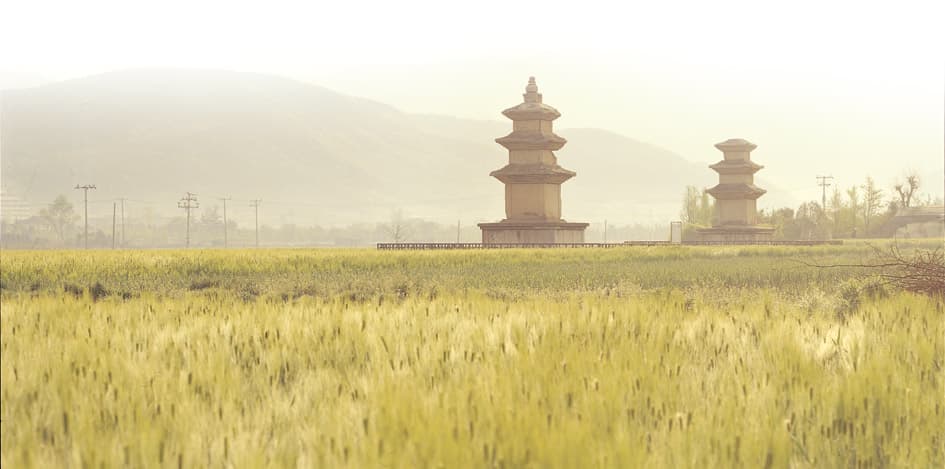 경주 천군동 동·서 삼층석탑 사진